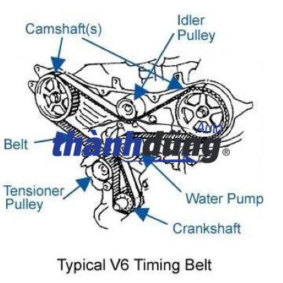 sơ đồ Bi tỳ cam (1), bi tăng cam , bạc đạn tăng cam BI TĂNG CAM FORD FOCUS 2018-2023 | GN1G6K245BD