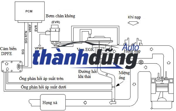 sơ đồ van erg
