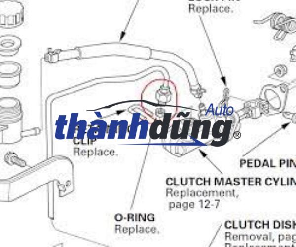 tổng côn dưới (2)