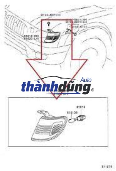 Đèn xi nhan (2)