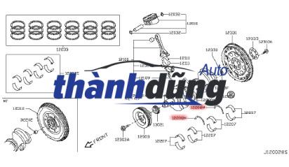 sơ đồ Căn dọc trục cơ (2)