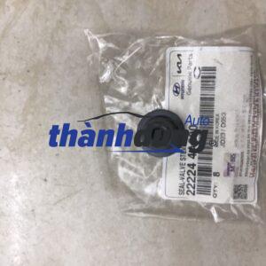 PHỚT GHÍT HYUNDAI SOLATI 2018-2023 | 222244A000
