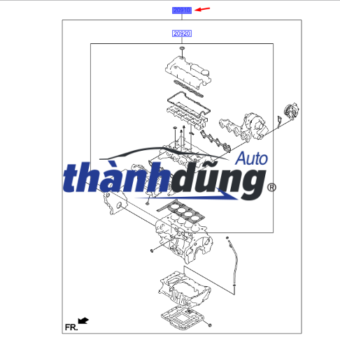 gioăng đại tu 2