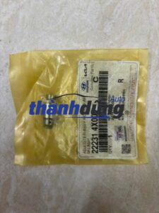 CON ĐỘI THỦY LỰC KIA CARNIVAL 2005-2007 | 222314X000