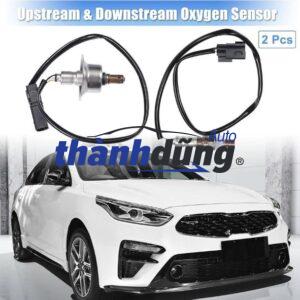 cảm biến oxy