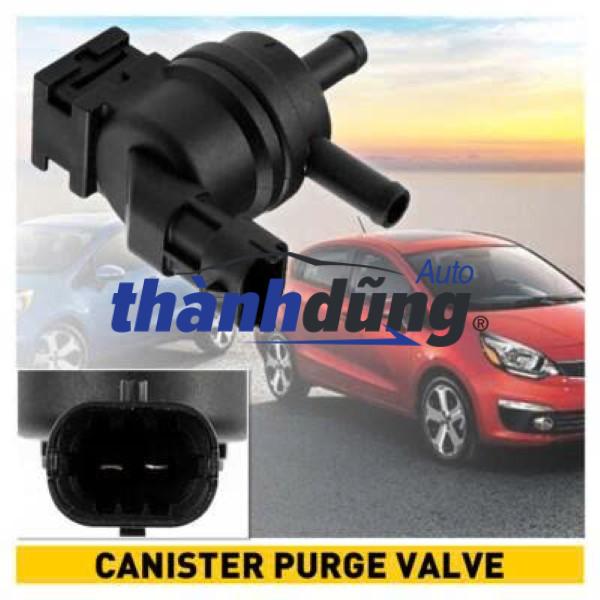 VAN ĐIỆN TỪ HƠI XĂNG THỪA