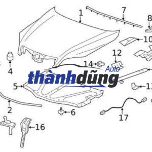NẮP CAPO